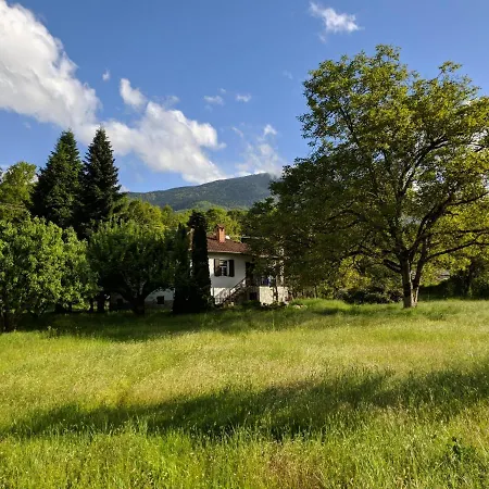 De Nachtegaal Holiday home Elafi
