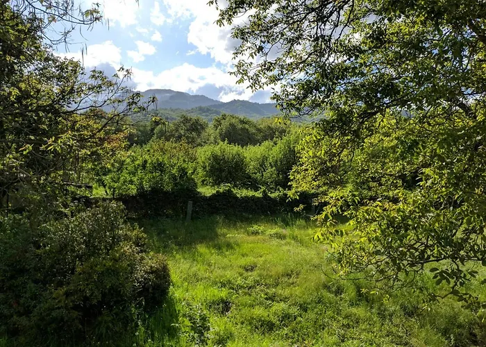 Case de vacanță De Nachtegaal *