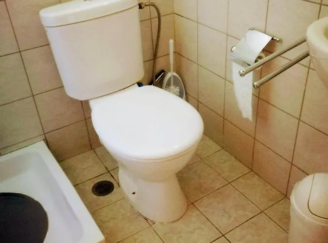 De Nachtegaal * Elafi