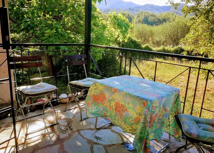 Case de vacanță De Nachtegaal *